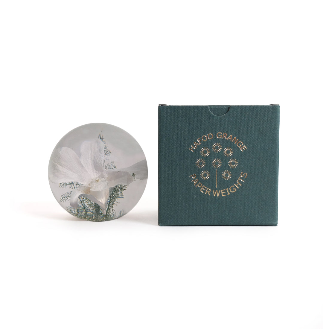 White Orchid Paperweight large│Hafod Grange│Presse-Papier witte orchidee│voorkant met witte achtergrond