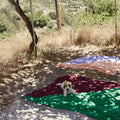 Plaid Gebreid Katoen Groen-Bruin Suite702│uitgevouwen in park met hond│art. CKP130GRCH
