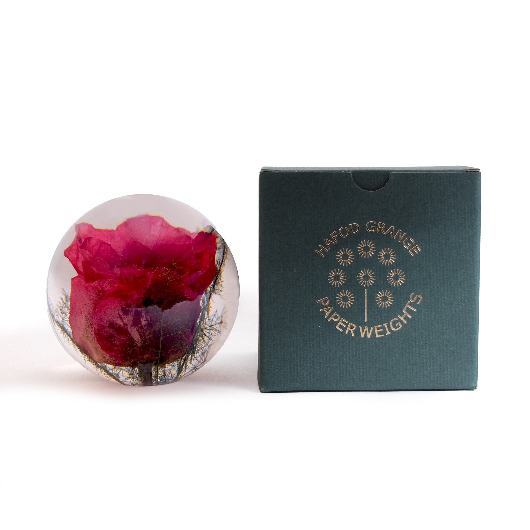 Red Rose Paperweight Large│Presse-Papier Rode Roos│Hafod Grange│voorkant naast verpakking