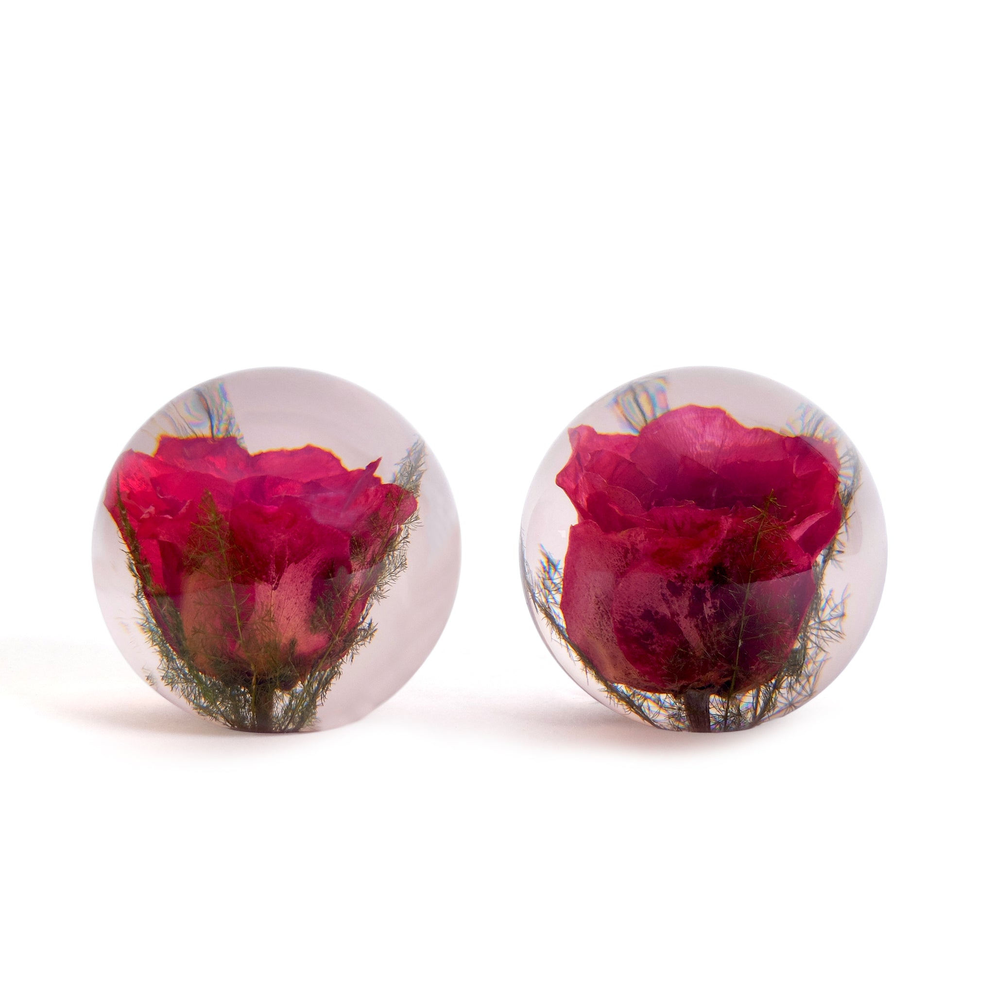 Red Rose Paperweight Large│Presse-Papier Rode Roos│Hafod Grange│twee maal large met verschillende rozen