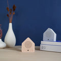 Satellitebox Nachtegaal Classic│Relaxound│art. 11SNI0101001│met Red Cadinal op boeken