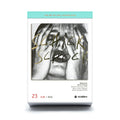 Scheurkalender The Art of Vinyl Covers 2026│Platenhoezen│vooraanzicht met album Bilderbuch