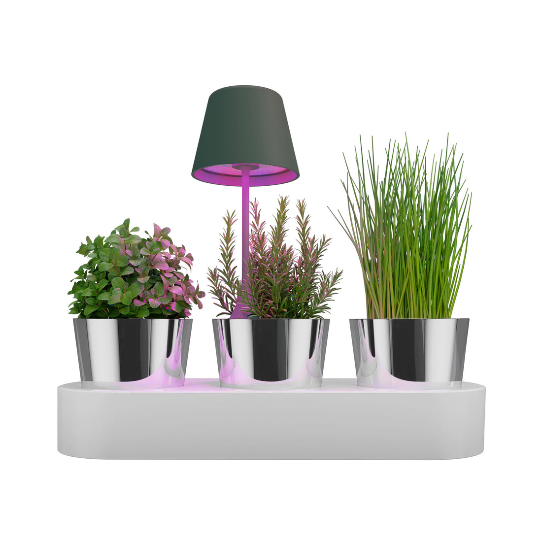 Sompex Peeky Oplaadbare Tafellamp & Groeilamp voor Planten Antraciet│art. 72721│vooraanzicht met witte achtergrond
