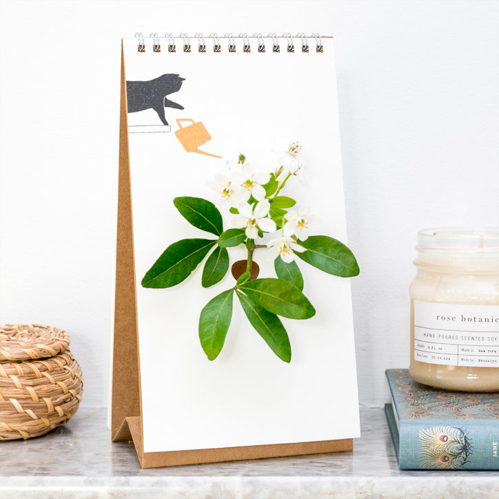 Flip Vase Kat Spextrum -  met tekening van zwarte kat die een gieter omstoot staat op een marmeren blad naast badkamer acessoires