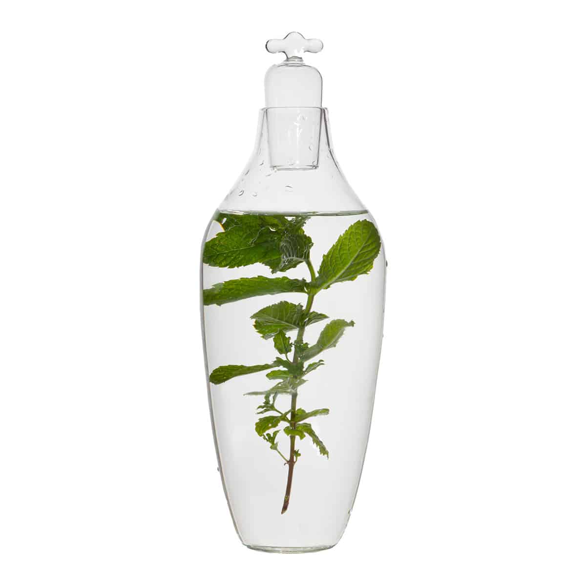 Tap Water Carafe Dune Borosilicaatglas│Vij5│gevuld met water en muntbladen