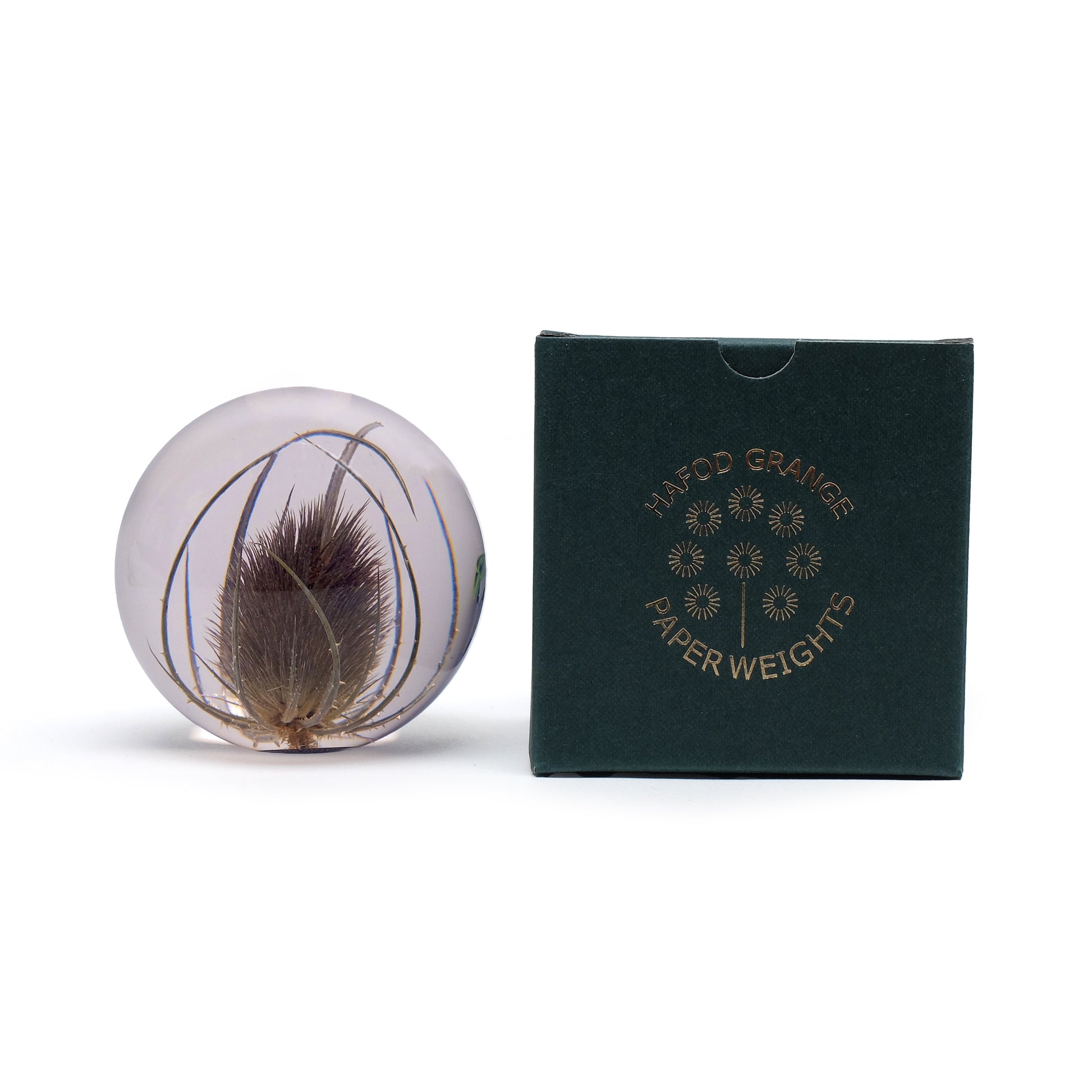 Teasel Paperweight Large│Presse-papier Kaardebol│Hafod Grange│voorkant naast verpakking