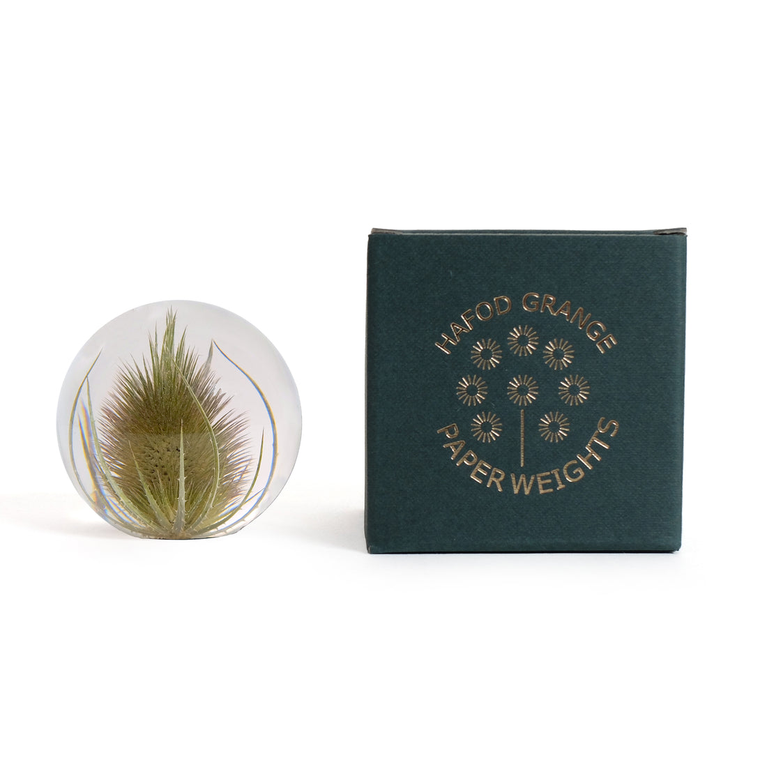 Teasel Paperweight Small│Presse-papier Kaardebol│Hafod Grange│voorkant met witte achtergrond