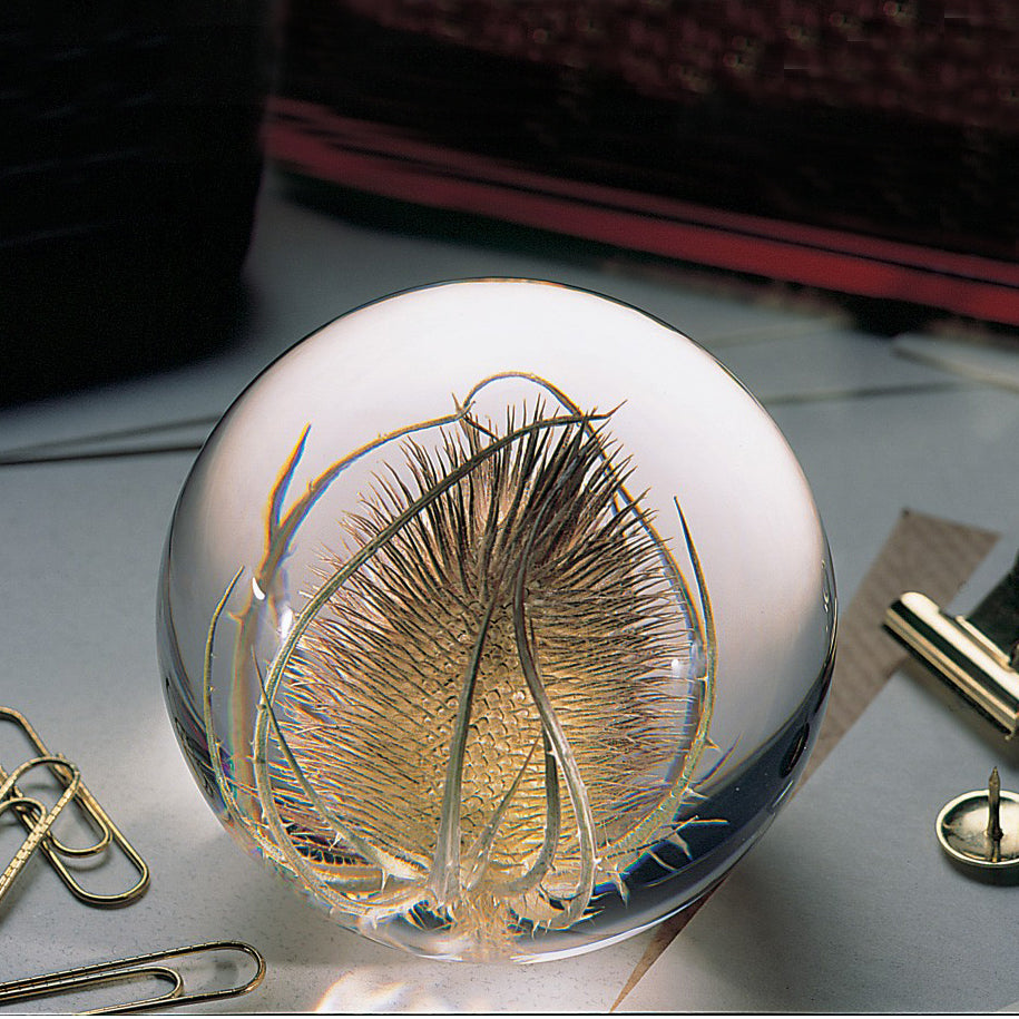 Teasel Paperweight Large│Presse-papier Kaardebol│Hafod Grange│op bureau naast paperclips