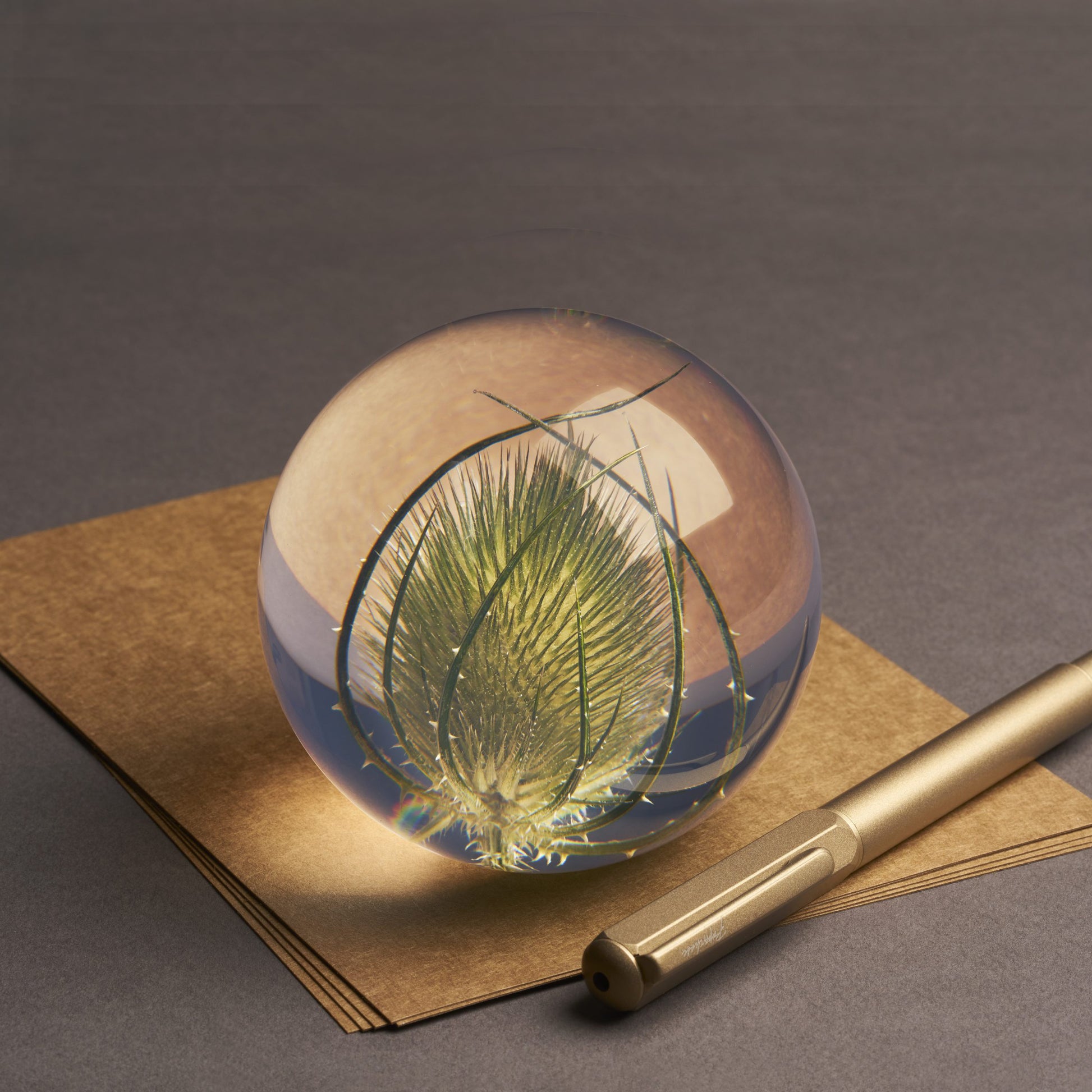Teasel Paperweight Large│Presse-papier Kaardebol│Hafod Grange│op losse vellen papier naast pen