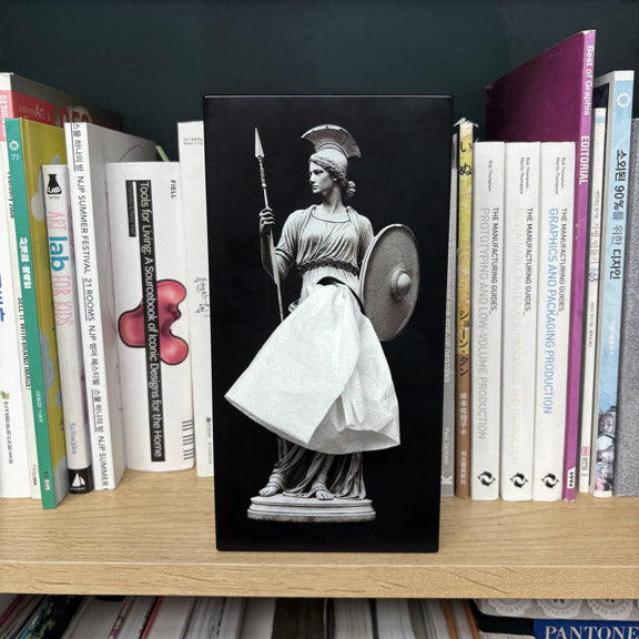 Tissue Up Mythology│Tissuebox Athena staat in boekenkast