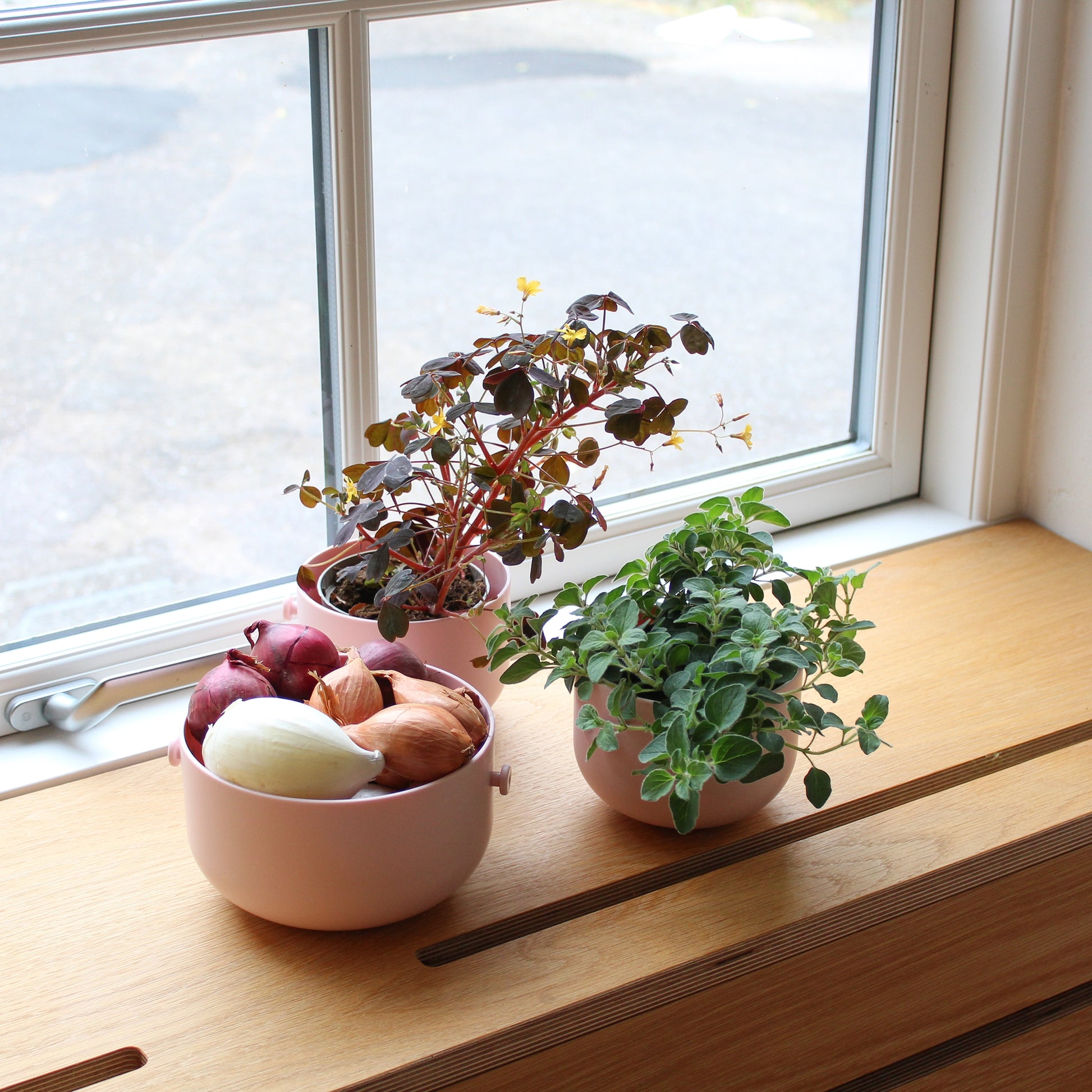Uhmm Bowl  en  in roze op houten vernsterbank met planten en kruiden.