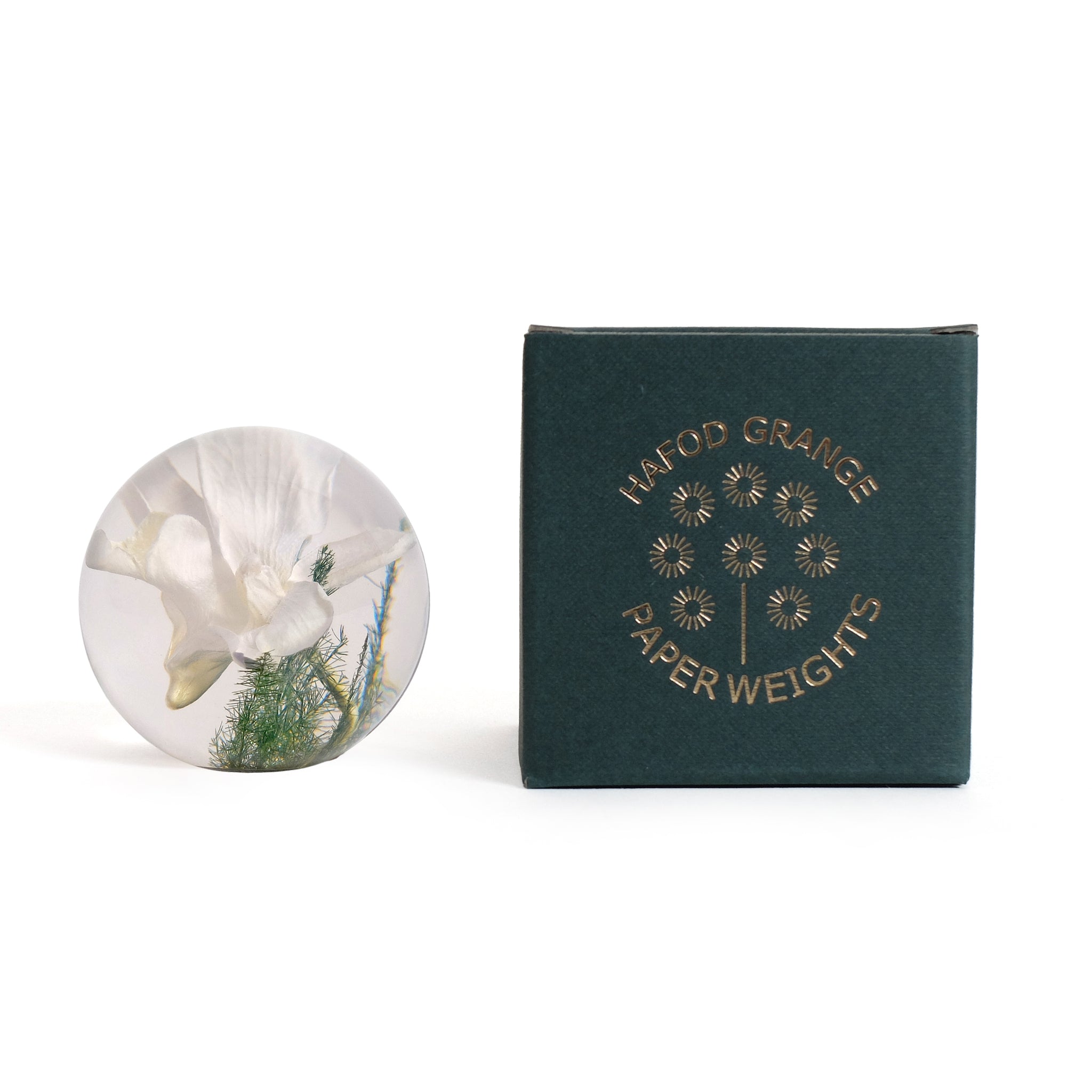 White Orchid Paperweight Small│Presse papier witte orchidee│Hafod Grange│voorkant naast verpakking