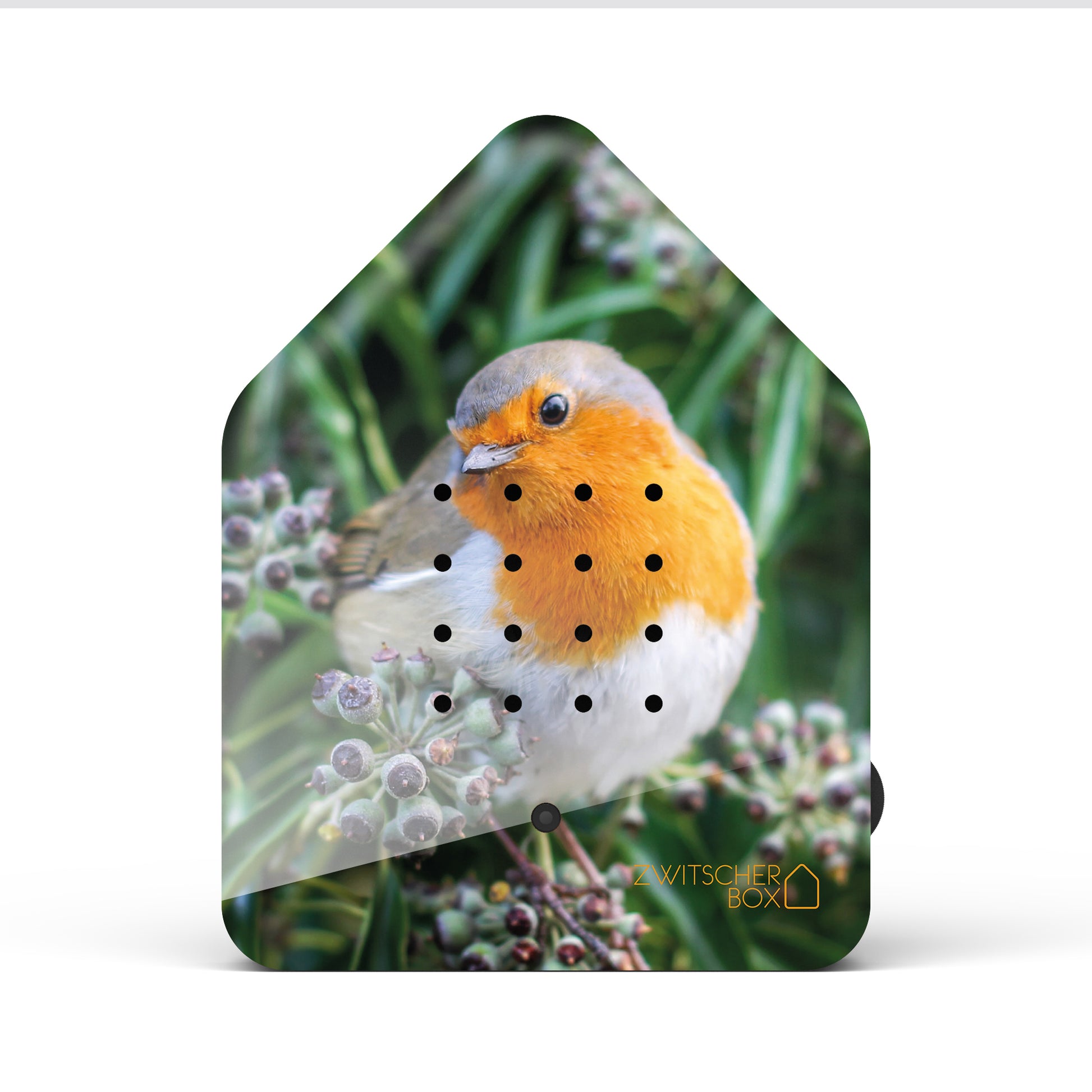 Zwitscherbox Limited Edition Roodborstje│art. 11ZBX0301018│voorkant