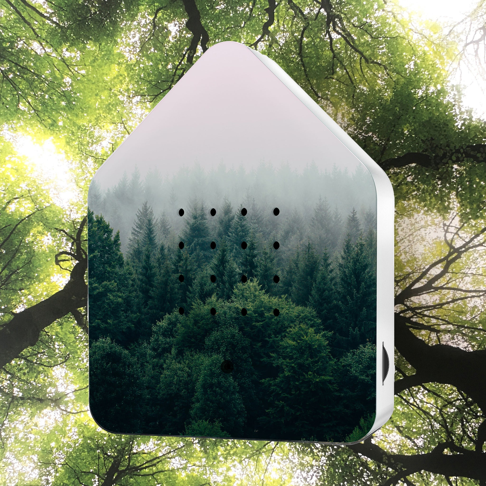 Zwitscherbox Classic Limited Edition│Morning Forest│art. 11ZBX0301023│met bomen op achtergrond