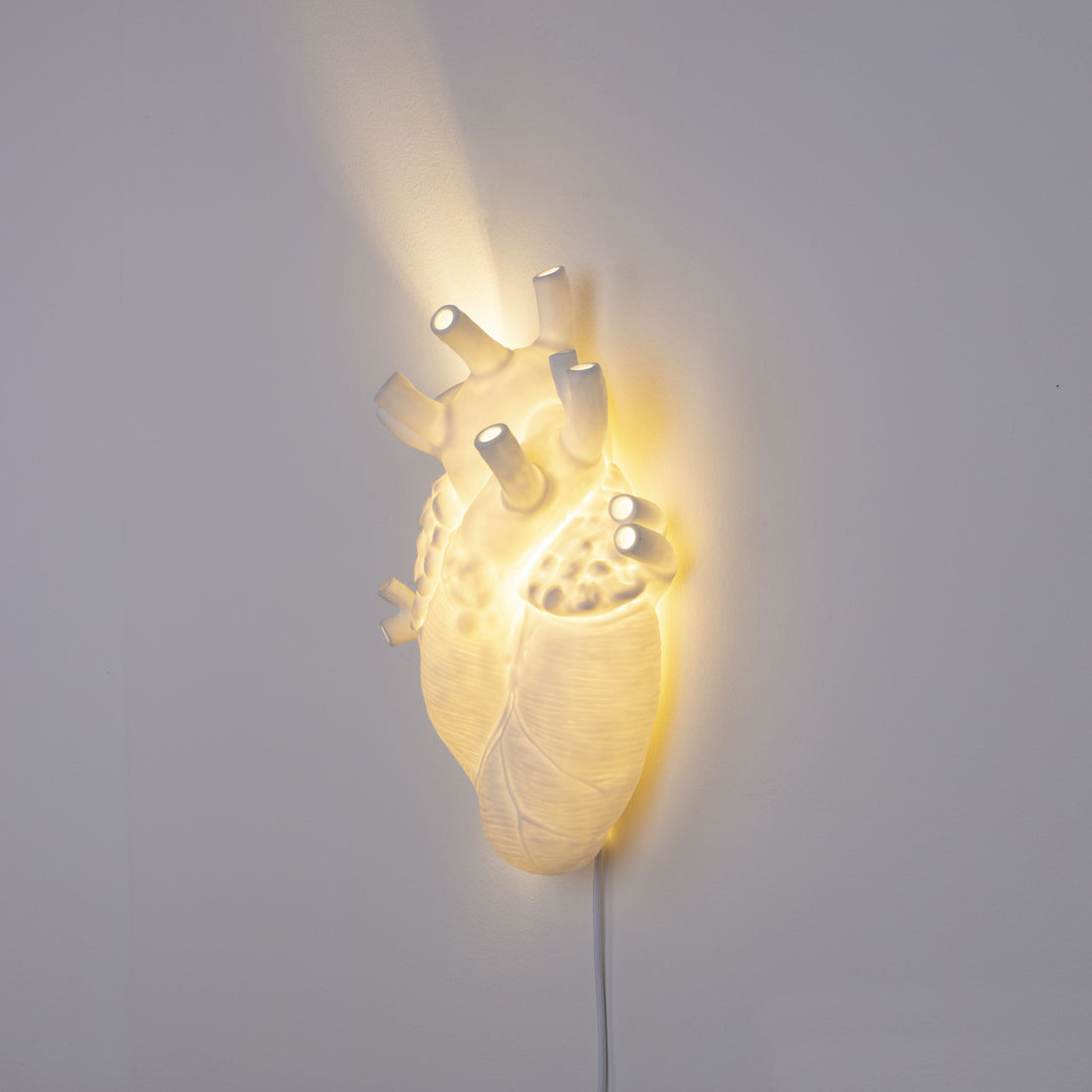 De Heart Lamp van Seletti is een echte eye-catcher in je interieur. Het witte porselein geeft een prachtige warme kleur wanneer de lamp aan is. Deze lamp is vormgegeven in de vorm van een anatomisch menselijk hart, en staat hiermee ook symbool voor romantiek.