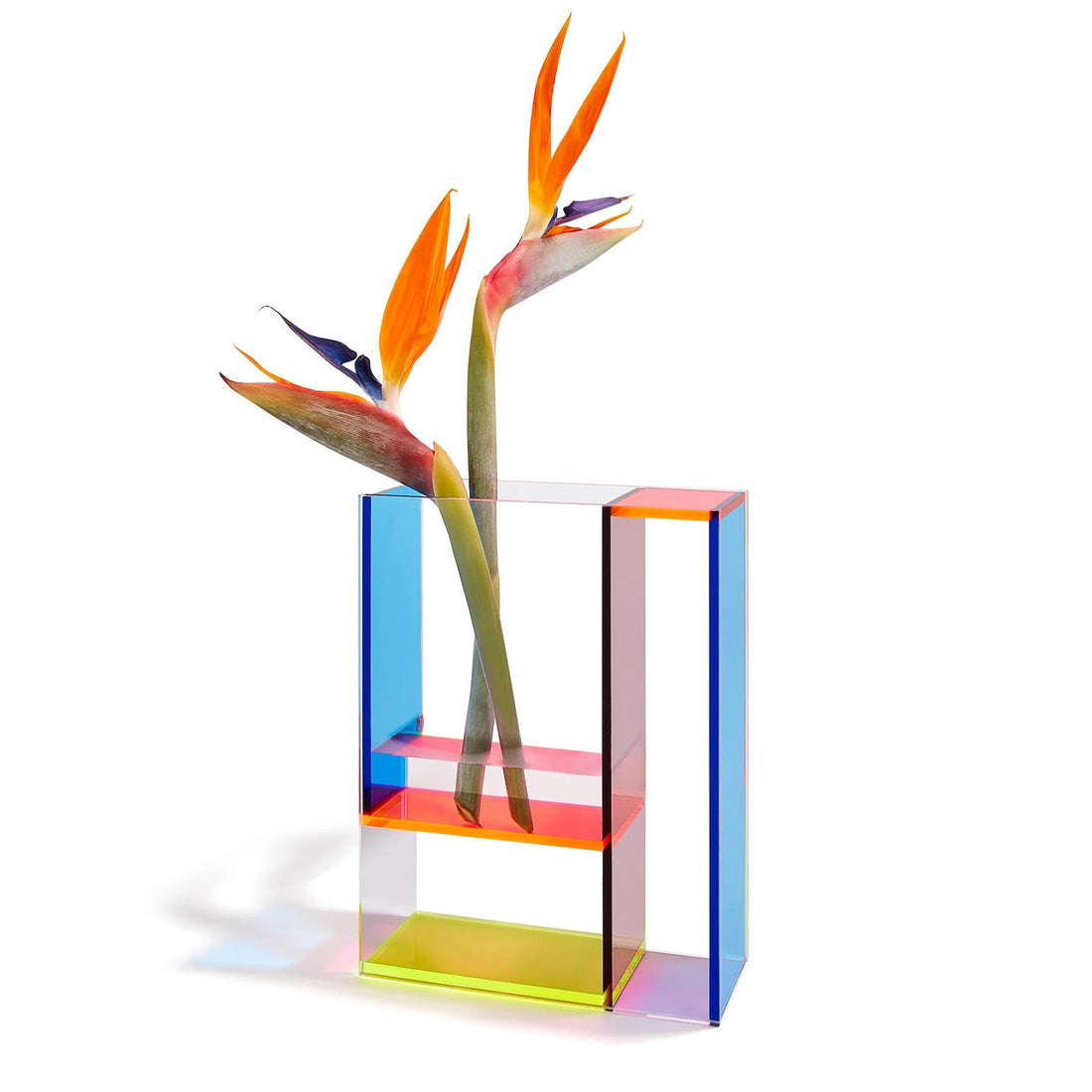 De Mondri-vase is een eerbetoon aan de Nederlandse kunstbeweging de Stijl en is vernoemd naar Piet Mondriaan. Samengesteld uit transparante acrylpanelen in diverse kleuren, die een prachtig kleurenspel en schaduwen creëren. Ontworpen met drie verschillende kamers voor verschillende bloemgroottes. Drie vazen in één! 