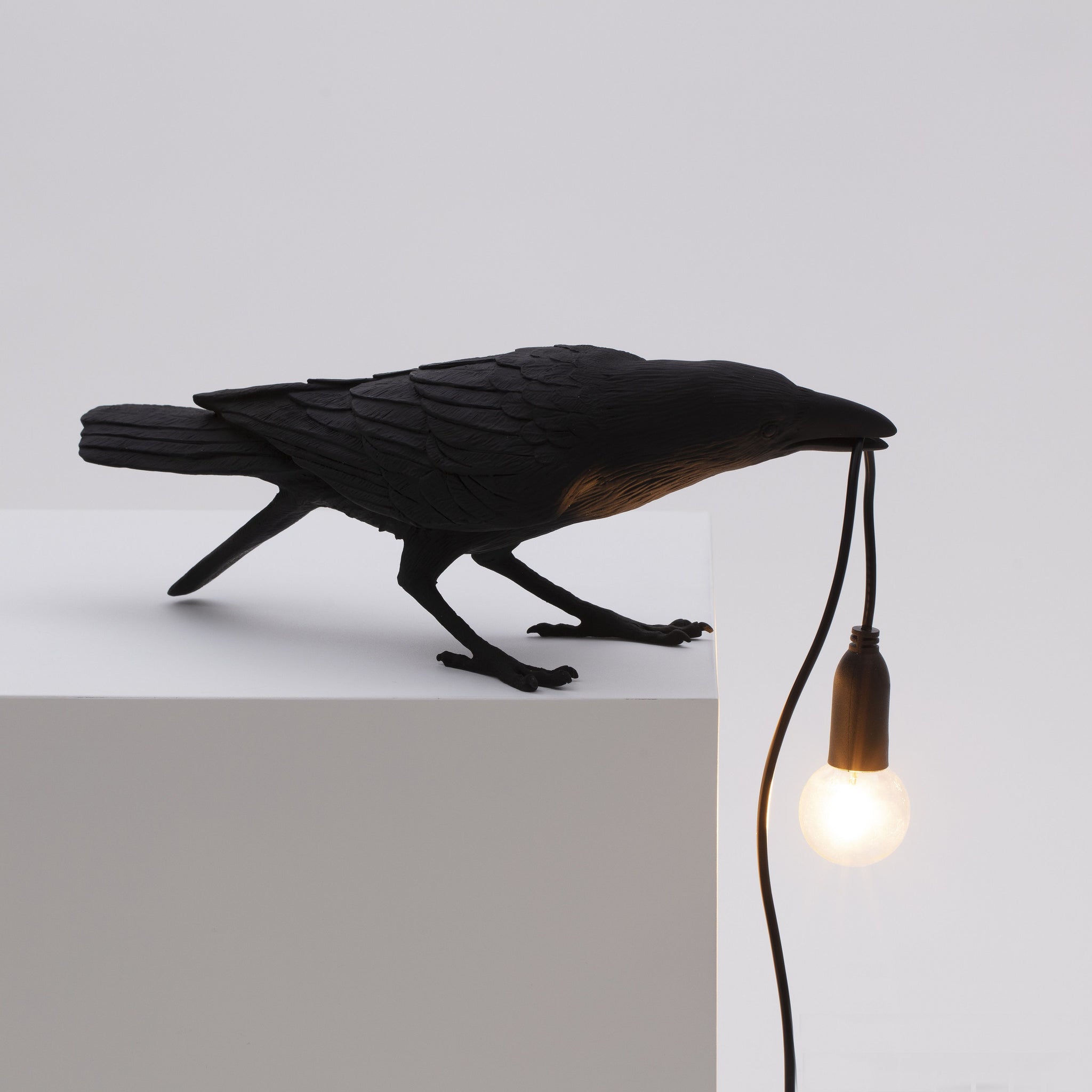 De Bird Lamp is een ontwerp van Marcantonio voor het Italiaanse merk Seletti. In sprookjes en films staat de kraai vaak symbool voor onheil. Maar deze vogels zijn je gevederde vriend en wijzen de weg in het donker. Verschillende versies, zowel indoor als outdoor. 