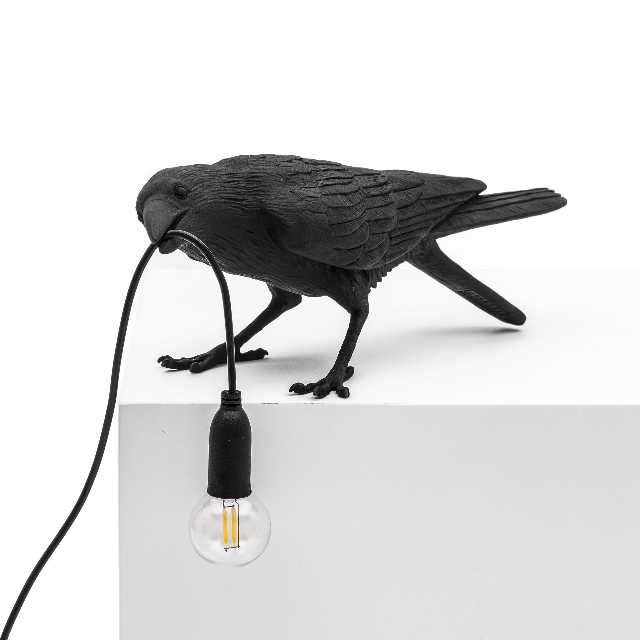 De Bird Lamp is een ontwerp van Marcantonio voor het Italiaanse merk Seletti. In sprookjes en films staat de kraai vaak symbool voor onheil. Maar deze vogels zijn je gevederde vriend en wijzen de weg in het donker. Verschillende versies, zowel indoor als outdoor. 