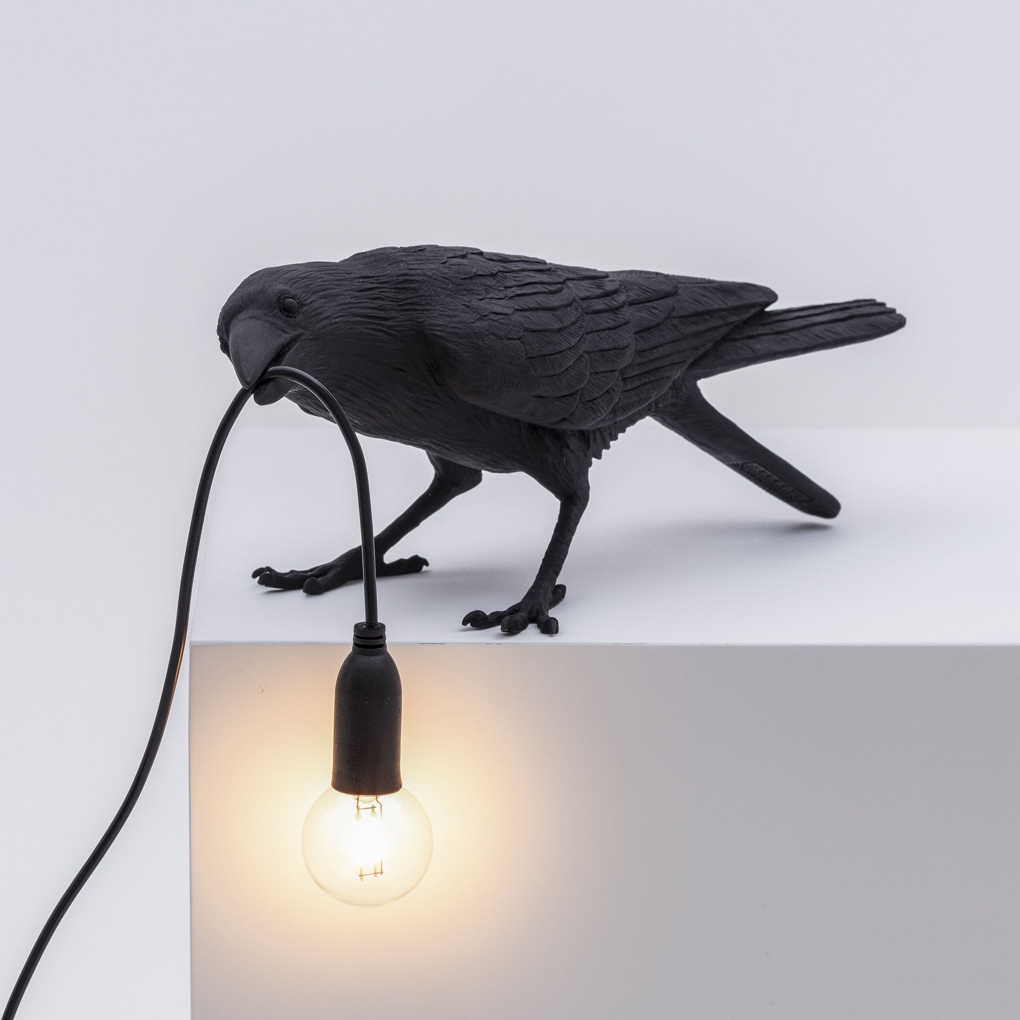 De Bird Lamp is een ontwerp van Marcantonio voor het Italiaanse merk Seletti. In sprookjes en films staat de kraai vaak symbool voor onheil. Maar deze vogels zijn je gevederde vriend en wijzen de weg in het donker. Verschillende versies, zowel indoor als outdoor. 