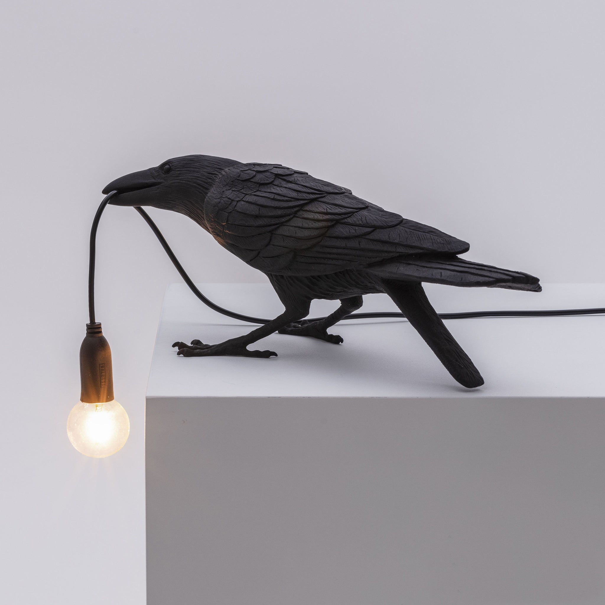 De Bird Lamp is een ontwerp van Marcantonio voor het Italiaanse merk Seletti. In sprookjes en films staat de kraai vaak symbool voor onheil. Maar deze vogels zijn je gevederde vriend en wijzen de weg in het donker. Verschillende versies, zowel indoor als outdoor. 