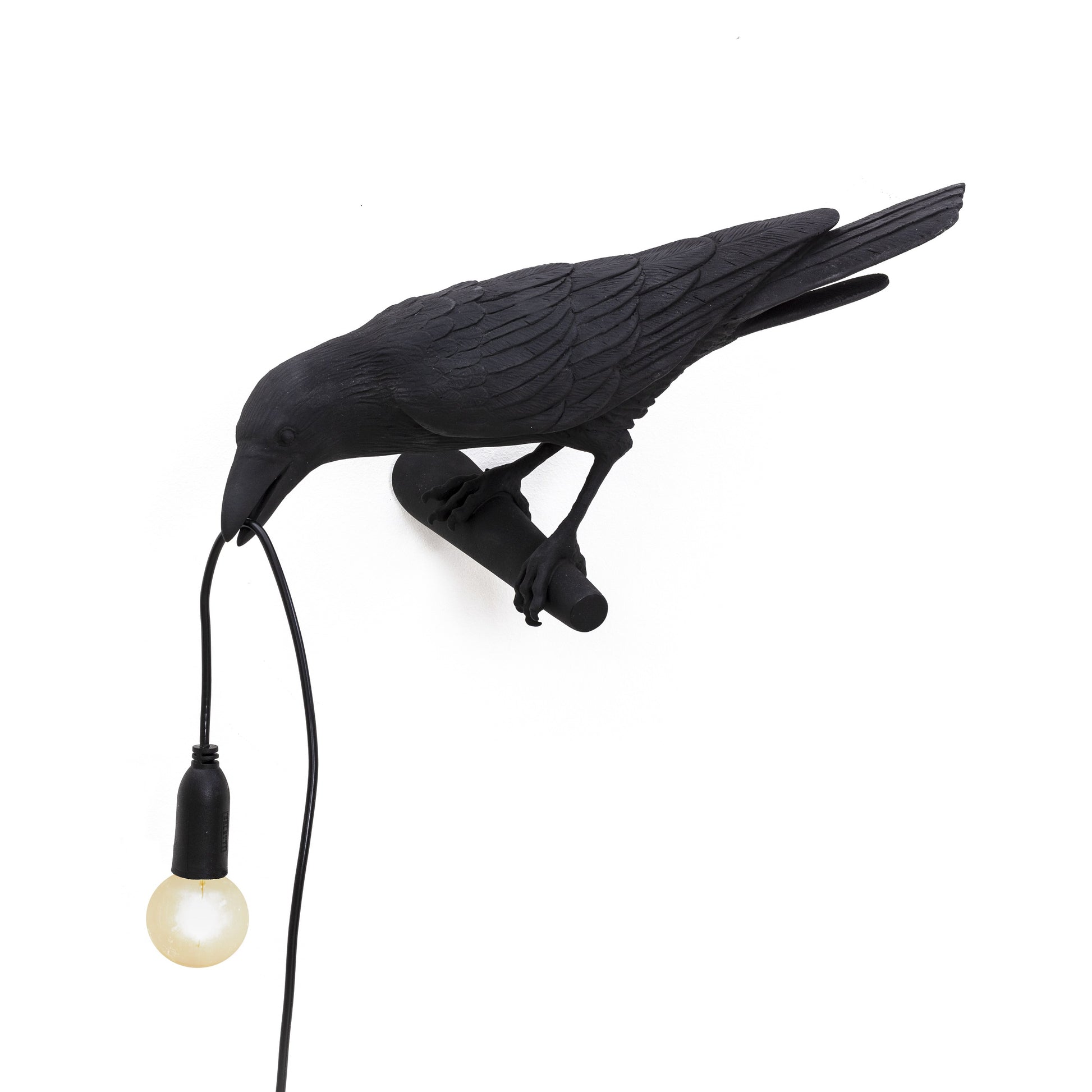 De Bird Lamp is een ontwerp van Marcantonio voor het Italiaanse merk Seletti. In sprookjes en films staat de kraai vaak symbool voor onheil. Maar deze vogels zijn je gevederde vriend en wijzen de weg in het donker. Verschillende versies, zowel indoor als outdoor. 