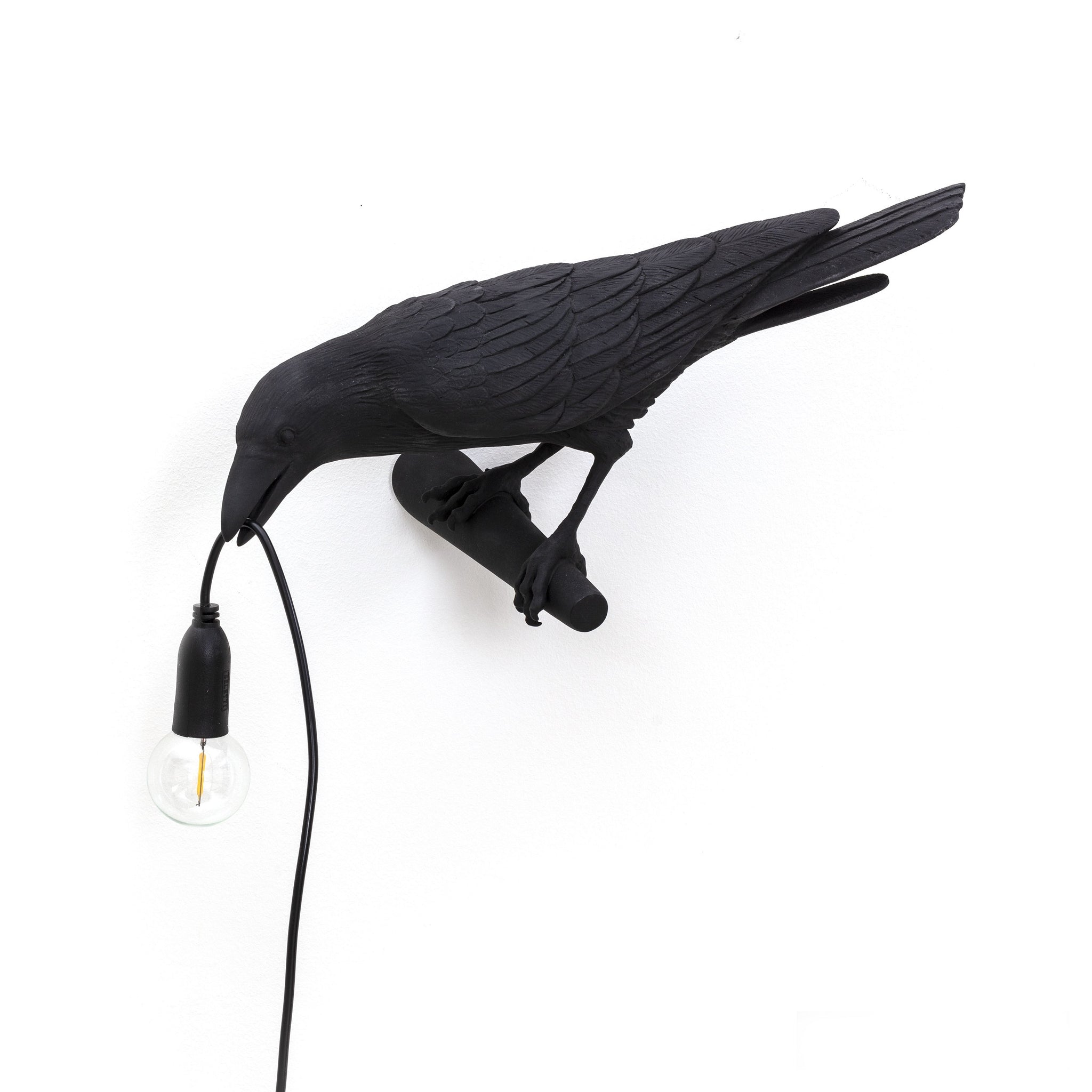 De Bird Lamp is een ontwerp van Marcantonio voor het Italiaanse merk Seletti. In sprookjes en films staat de kraai vaak symbool voor onheil. Maar deze vogels zijn je gevederde vriend en wijzen de weg in het donker. Verschillende versies, zowel indoor als outdoor. 