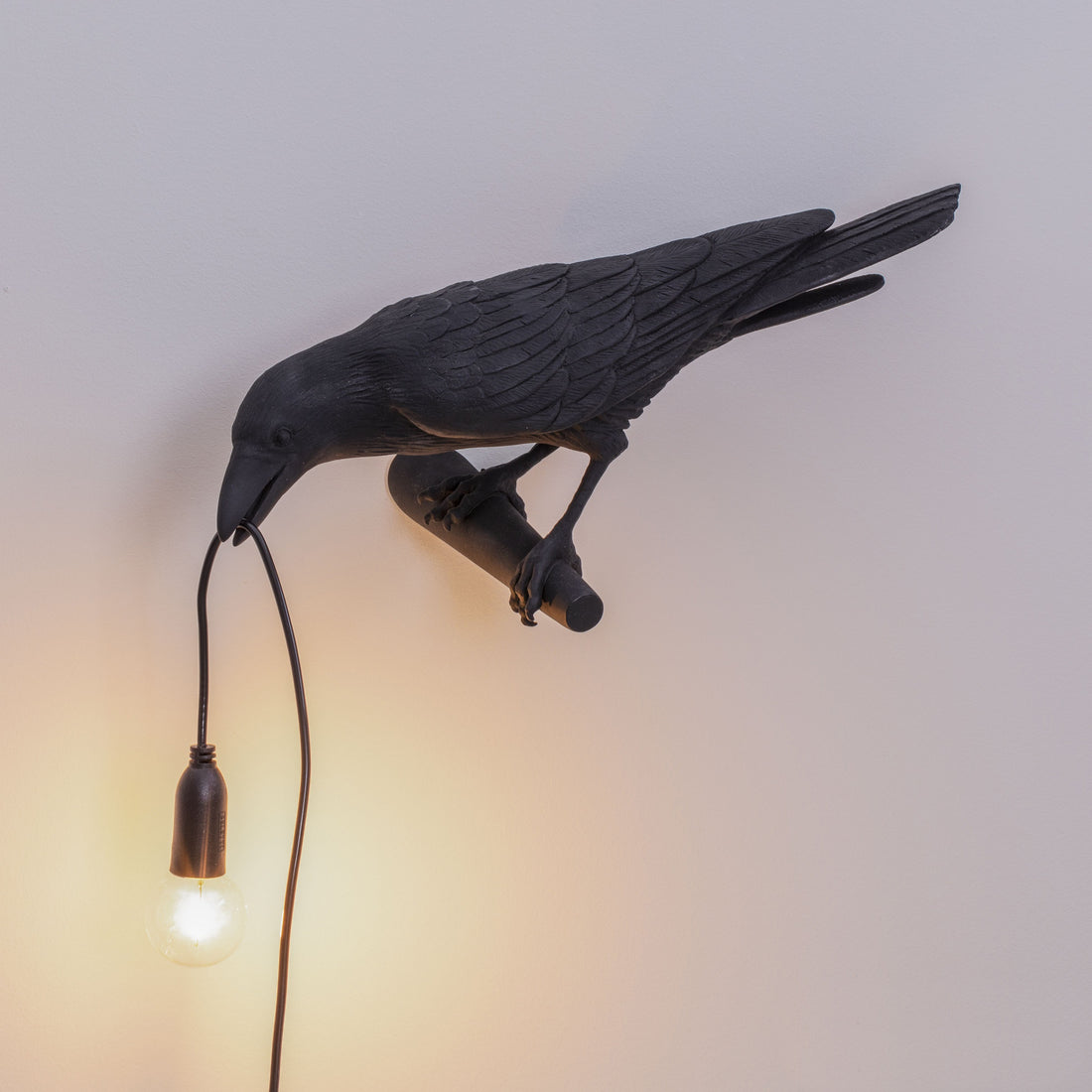 De Bird Lamp is een ontwerp van Marcantonio voor het Italiaanse merk Seletti. In sprookjes en films staat de kraai vaak symbool voor onheil. Maar deze vogels zijn je gevederde vriend en wijzen de weg in het donker. Verschillende versies, zowel indoor als outdoor. 