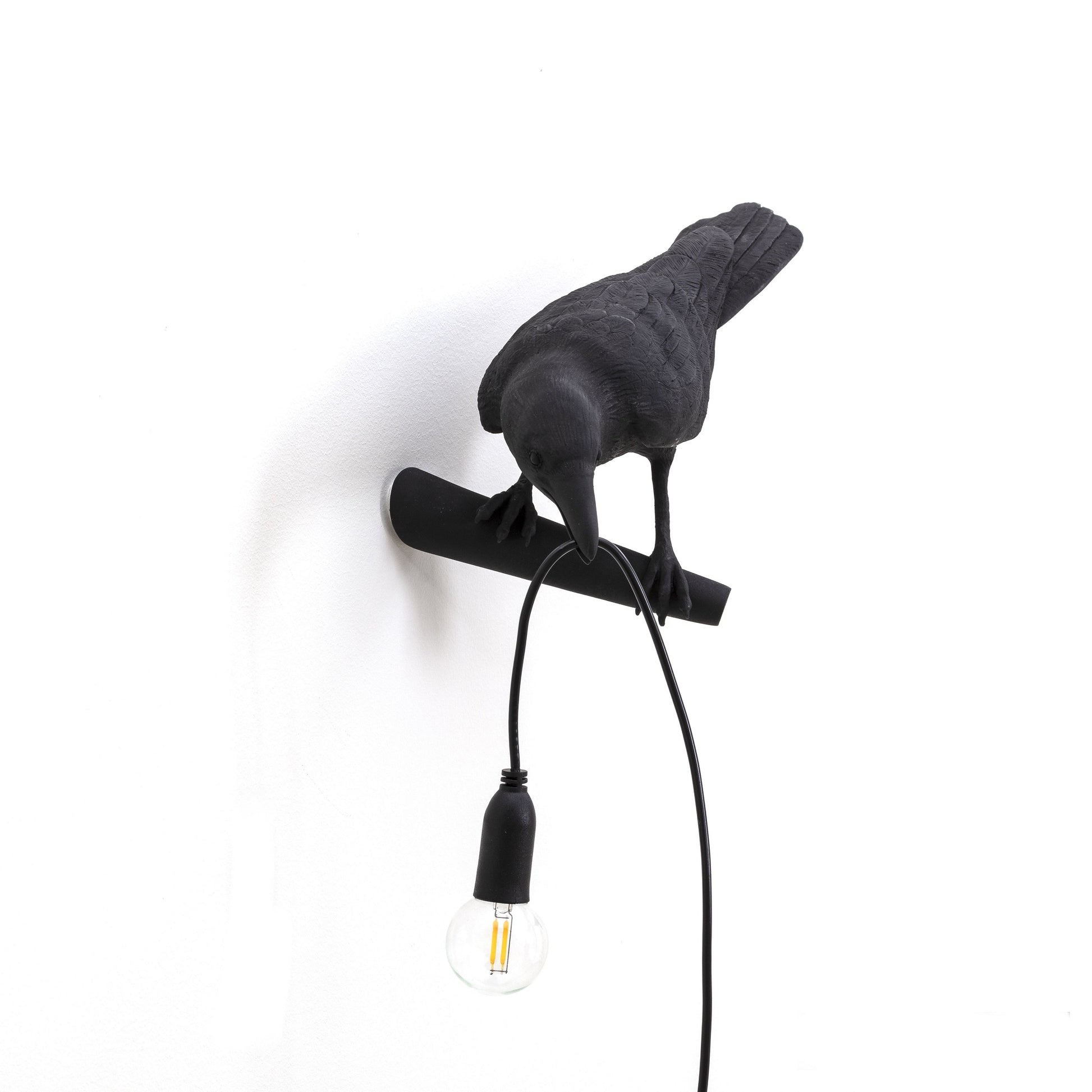 De Bird Lamp is een ontwerp van Marcantonio voor het Italiaanse merk Seletti. In sprookjes en films staat de kraai vaak symbool voor onheil. Maar deze vogels zijn je gevederde vriend en wijzen de weg in het donker. Verschillende versies, zowel indoor als outdoor. 