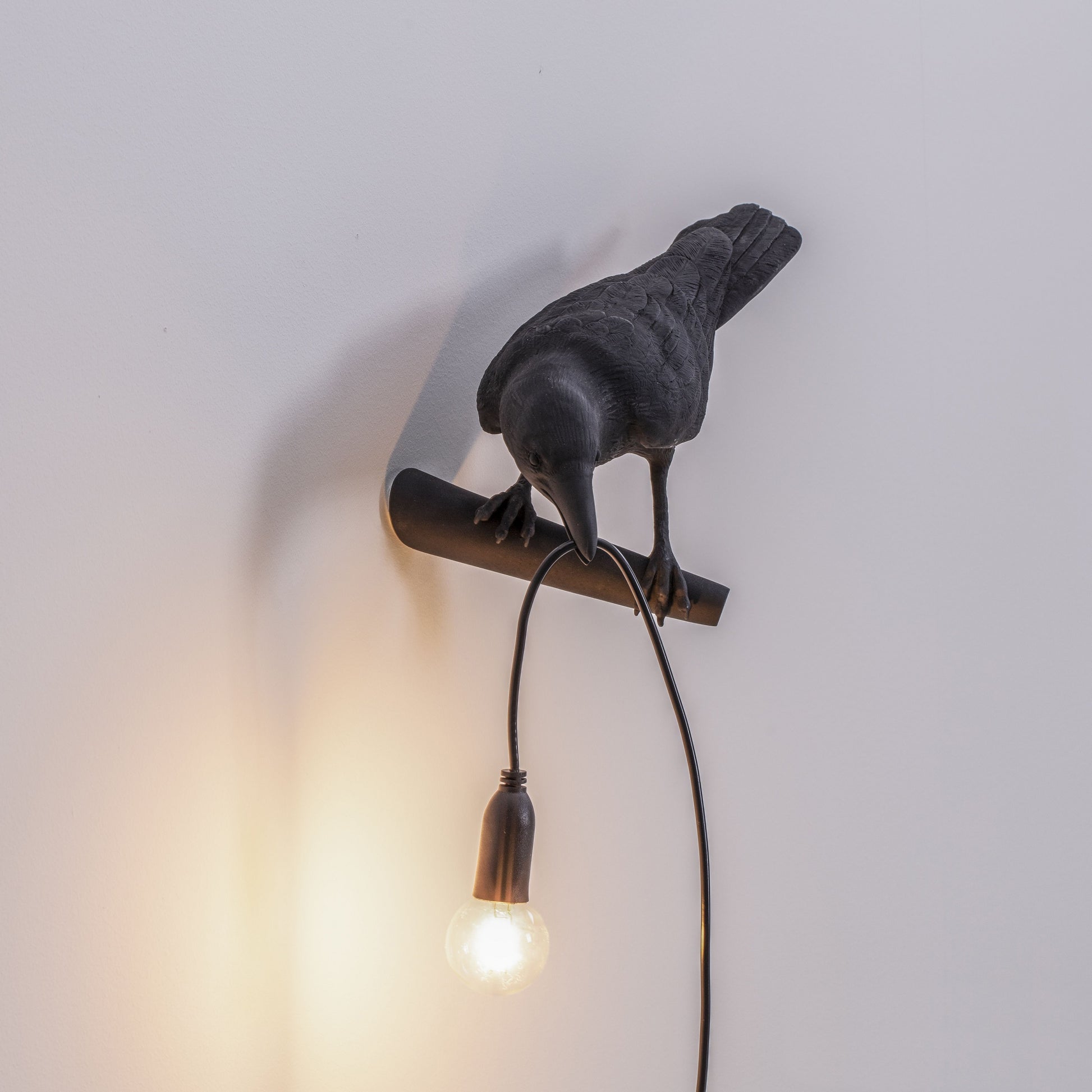 De Bird Lamp is een ontwerp van Marcantonio voor het Italiaanse merk Seletti. In sprookjes en films staat de kraai vaak symbool voor onheil. Maar deze vogels zijn je gevederde vriend en wijzen de weg in het donker. Verschillende versies, zowel indoor als outdoor. 