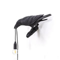 De Bird Lamp is een ontwerp van Marcantonio voor het Italiaanse merk Seletti. In sprookjes en films staat de kraai vaak symbool voor onheil. Maar deze vogels zijn je gevederde vriend en wijzen de weg in het donker. Verschillende versies, zowel indoor als outdoor. 