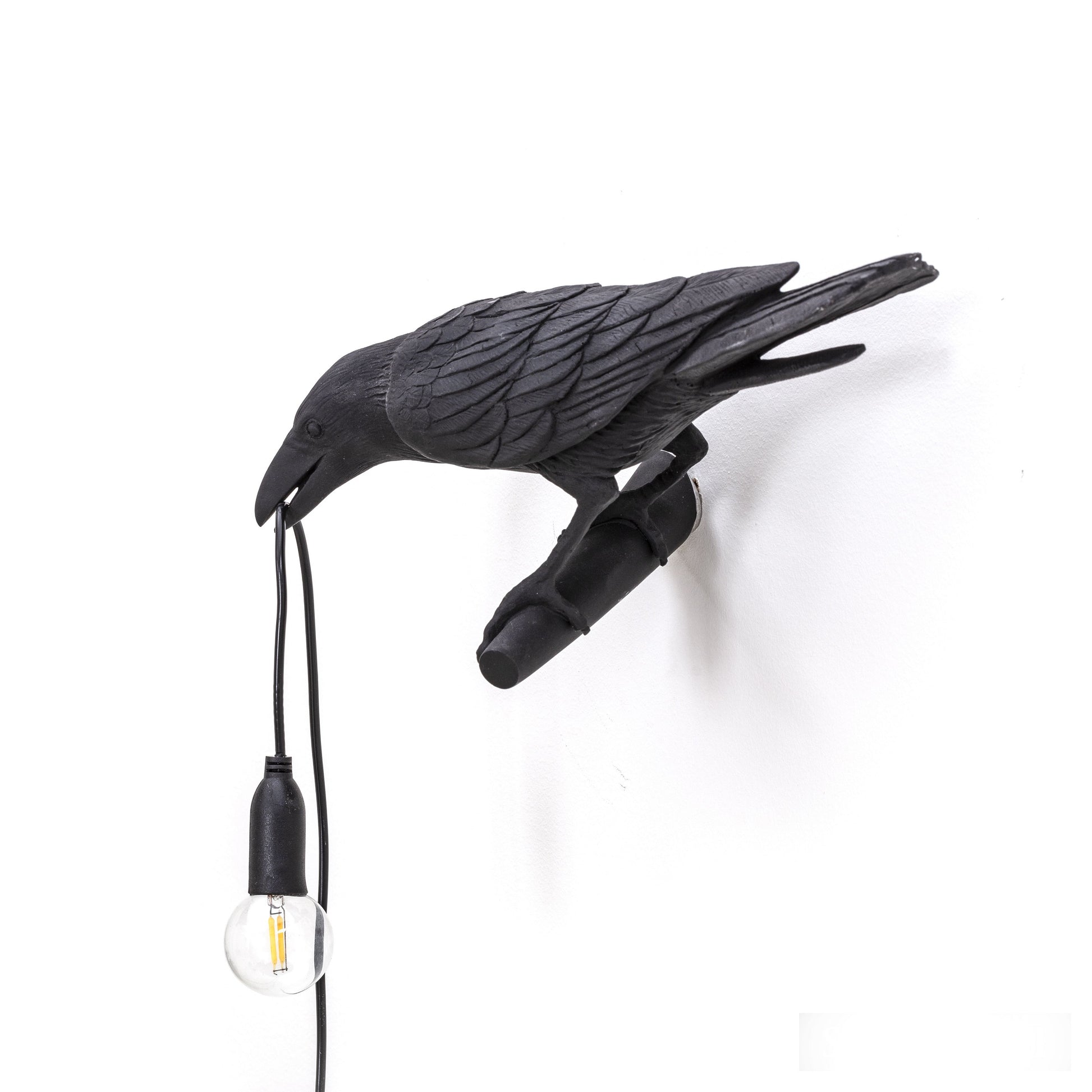 De Bird Lamp is een ontwerp van Marcantonio voor het Italiaanse merk Seletti. In sprookjes en films staat de kraai vaak symbool voor onheil. Maar deze vogels zijn je gevederde vriend en wijzen de weg in het donker. Verschillende versies, zowel indoor als outdoor. 