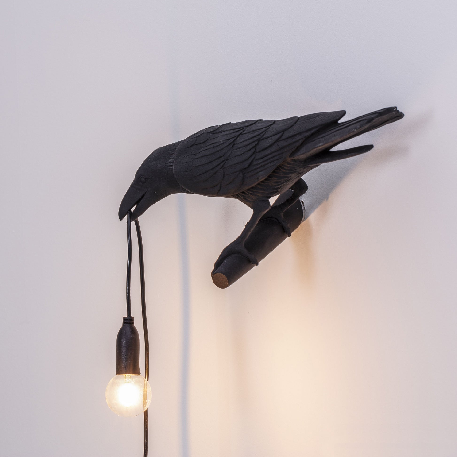 De Bird Lamp is een ontwerp van Marcantonio voor het Italiaanse merk Seletti. In sprookjes en films staat de kraai vaak symbool voor onheil. Maar deze vogels zijn je gevederde vriend en wijzen de weg in het donker. Verschillende versies, zowel indoor als outdoor. 