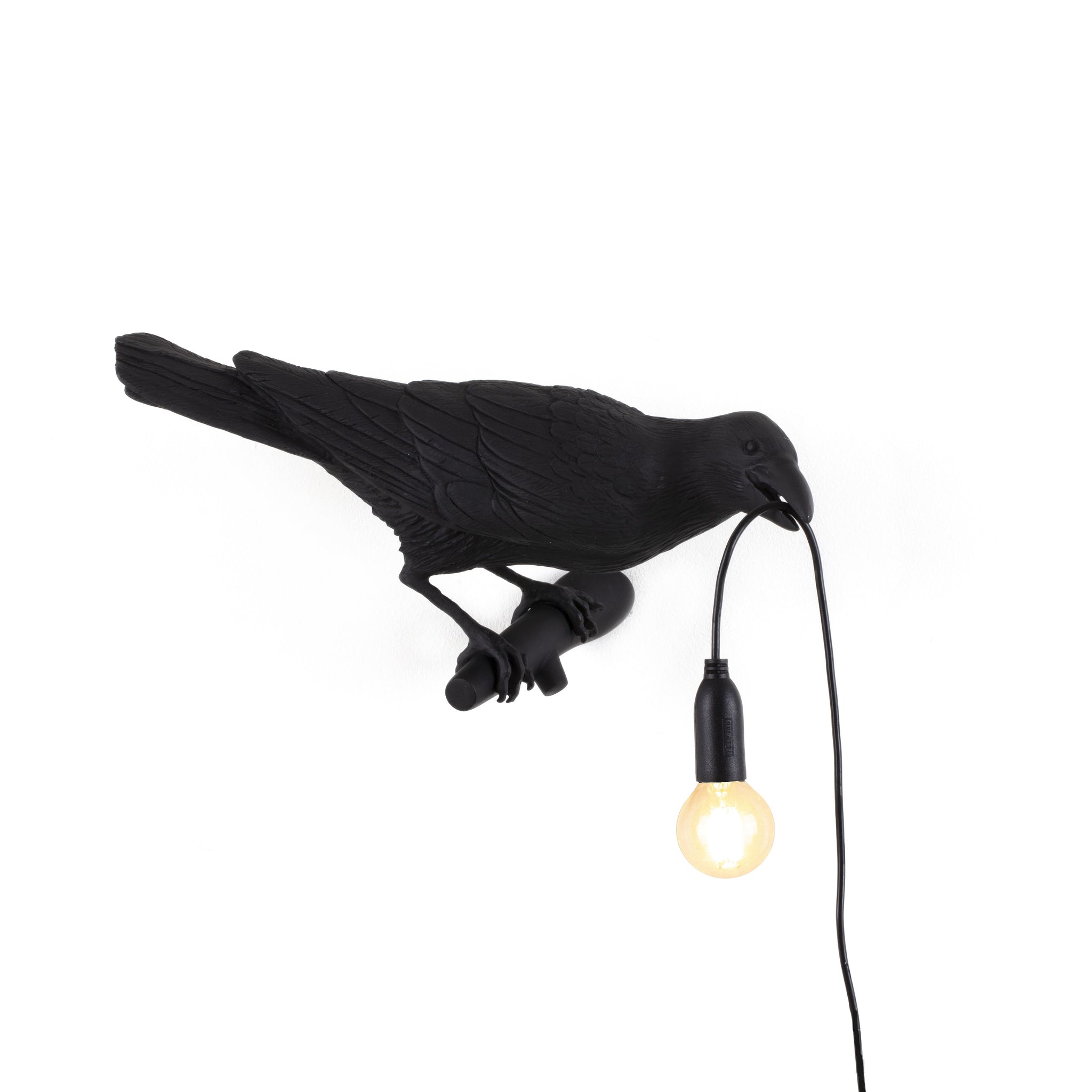 De Bird Lamp is een ontwerp van Marcantonio voor het Italiaanse merk Seletti. In sprookjes en films staat de kraai vaak symbool voor onheil. Maar deze vogels zijn je gevederde vriend en wijzen de weg in het donker. Verschillende versies, zowel indoor als outdoor. 
