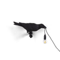De Bird Lamp is een ontwerp van Marcantonio voor het Italiaanse merk Seletti. In sprookjes en films staat de kraai vaak symbool voor onheil. Maar deze vogels zijn je gevederde vriend en wijzen de weg in het donker. Verschillende versies, zowel indoor als outdoor. 