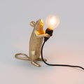 Deze muis wil je graag in huis hebben! Hij is ontworpen door Marcantonio voor het merk Seletti, en verkrijgbaar in 3 varianten: Staand, liggend en zittend. De nieuwe versie van dit iconische lampje is uitgevoerd met een standaard E14 fitting en een USB aansluiting. 