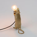 Deze muis wil je graag in huis hebben! Hij is ontworpen door Marcantonio voor het merk Seletti, en verkrijgbaar in 3 varianten: Staand, liggend en zittend. De nieuwe versie van dit iconische lampje is uitgevoerd met een standaard E14 fitting en een USB aansluiting. 