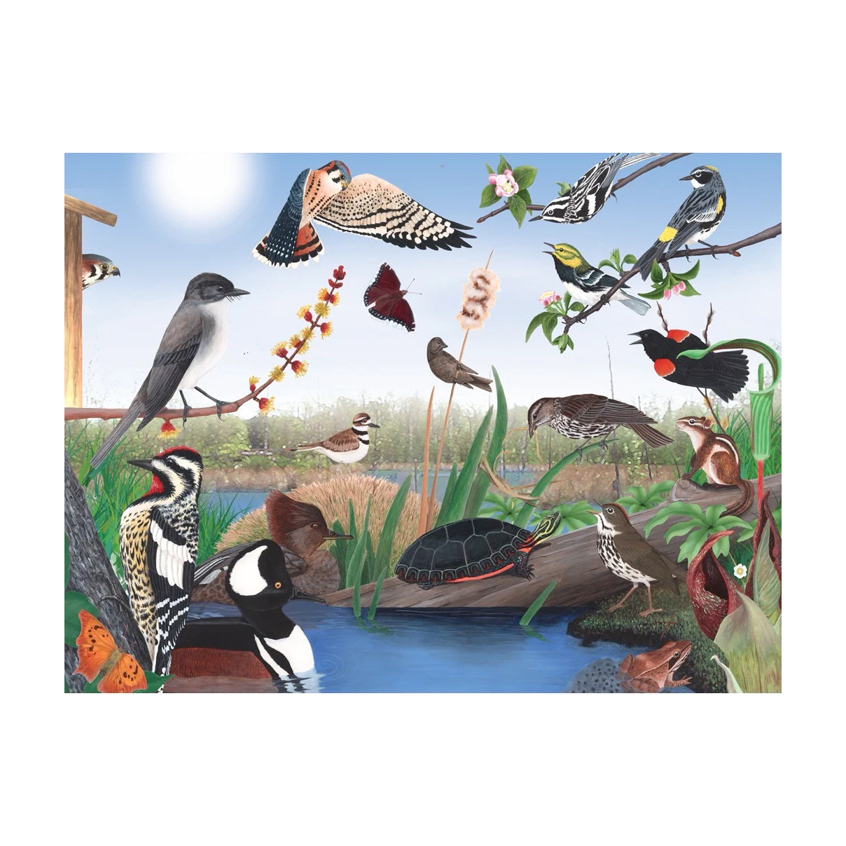 Puzzel Cornell Lab of Ornithology Spring Trail│New York Puzzel Company 1000 stukjes│art. NPZCB2267│afbeedling illustratie