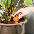 Waterworks Large│art. WWSET-L│House of Thol│hand stopt terracotta kegel in aarde