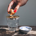 Helios Constellation│Groeischijf voor pitten en zaden│House of Thol│avocado pit in hand boven glas