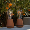 Humble One Outdoor Oplaadbare Tafellamp Cinnamon│Buitenverlichting│art. HYMTL00118│twee maal naast elkaar voor sinaasappelboom