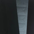Paperflowers Special edition Zwart│Jorine Oosterhoff│detail do-it-yourself pakket