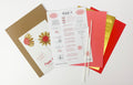 Paper Flowers Zomer│Jorine Oosterhoff│Papieren Bloemen│verpakking met inhoud
