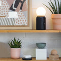 Original Lamp Zwart│Lund London│art. 7477│op houten plank met planten