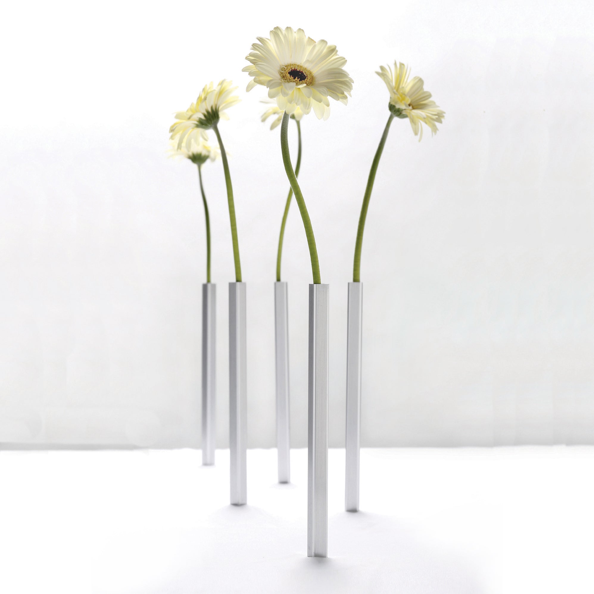 Magnetische Vaas Aluminium set van 5│Magnetic Vase Peleg Design│foto met schaduw