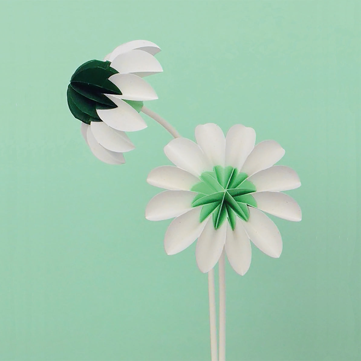 Paper Flowers Lente│Jorine Oosterhoff│Papieren Bloemen│foto groene achtergrond
