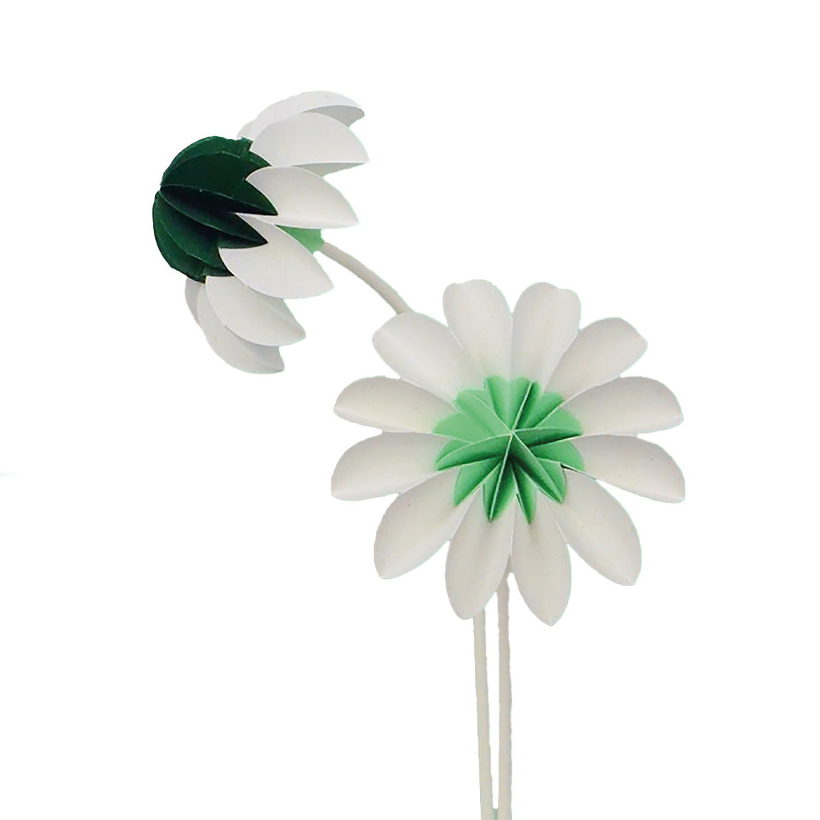 Paper Flowers Lente│Jorine Oosterhoff│Papieren Bloemen│foto witte achtergrond