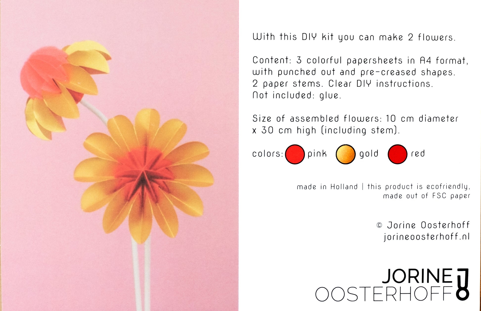 Paper Flowers Zomer│Jorine Oosterhoff│Papieren Bloemen│afbeelding inhoud