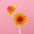 Paper Flowers Zomer│Jorine Oosterhoff│Papieren Bloemen│foto roze achtergrond