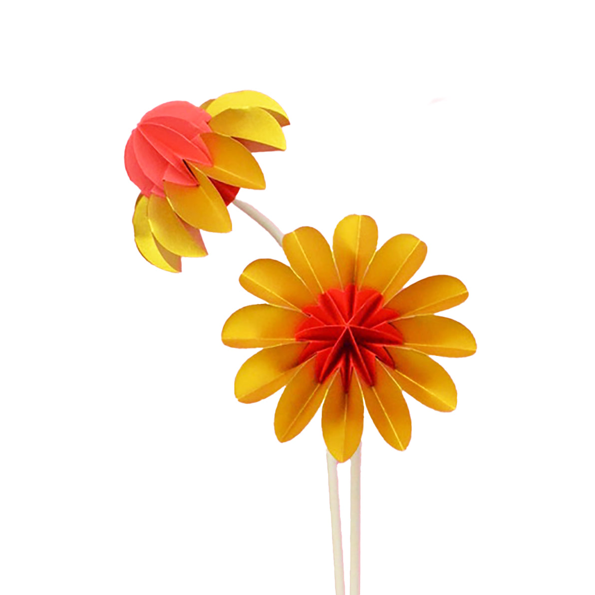 Paper Flowers Zomer│Jorine Oosterhoff│Papieren Bloemen│foto witte achtergrond