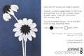 Paper Flowers Winter│Jorine Oosterhoff│Papieren Bloemen│afbeedling inhoud verpakking